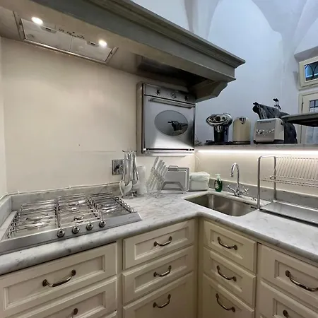 Elegant In Santo Spirito's Heart Apartment *